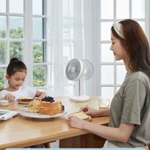 JISULIFE FA13P Desk Fan