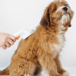 Pet Grooming Brush 2